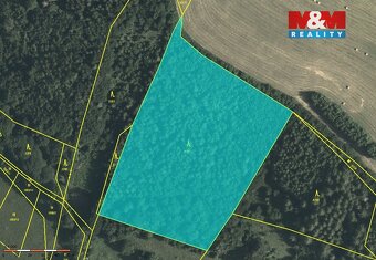 Prodej lesa, 78705 m², Horní Studénky - 5