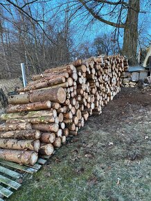 Palivové dřevo tvrdé,měkké.. - 5