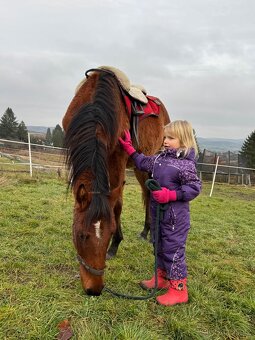 Hodný hřebeček - 5