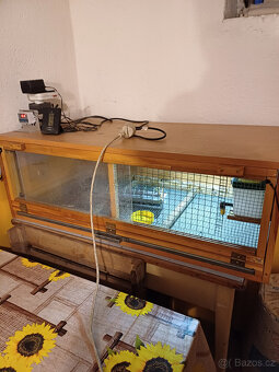 Odchovna pro kuřátka - 5