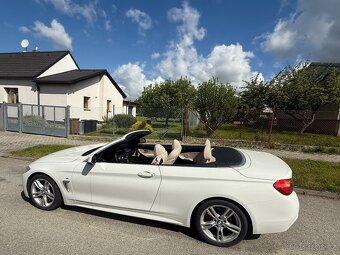 BMW 420 d kabriolet - 5