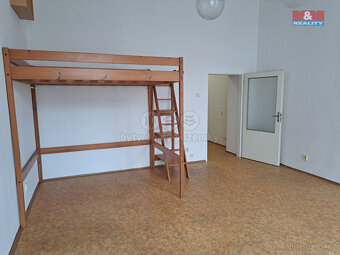 Pronájem bytu 1+1, 48 m², Brno, ul. Cejl - 5