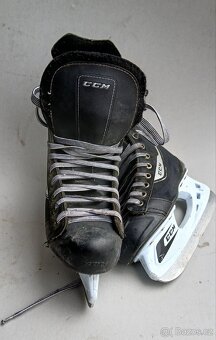 Brusle ccm velikost 40 - 5