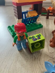 LEGO Duplo 10584 Lesopark - 5