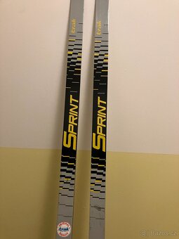 Běžky skluznice šupina - 5