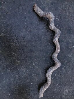 Přírodní liány - 5