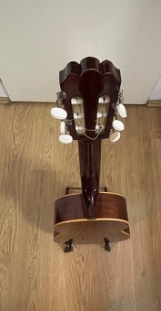 Hofner - 5