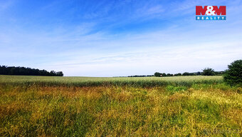 Prodej pole, 31465 m², Měnín - 5