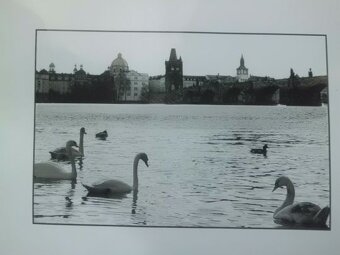 Velká Sbírka Originál Uměleckých Fotografií EVA MALÁ - PRAHA - 5