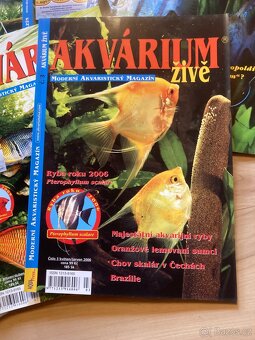 Akvárium živě - 5