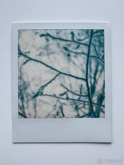 Polaroid SX-70 Sonar Autofocus - 5