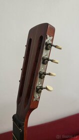 Celomasivní mandocello Cremona - 5