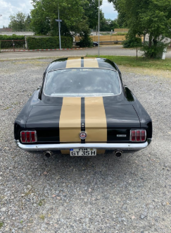 Ford Mustang Fastback GT350H Tribute - 5