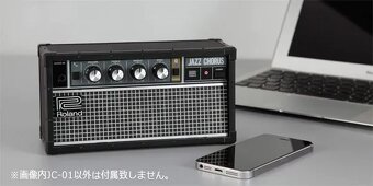 Roland JC-01 - 5