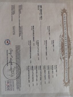 Aqh - 5