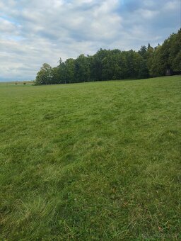 Orná půda oplocená - 5