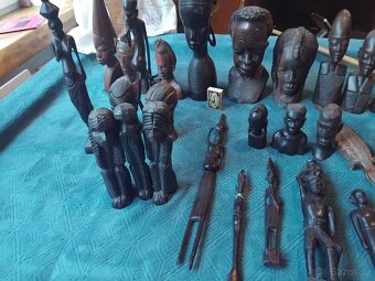 Sošky z Afriky - 5