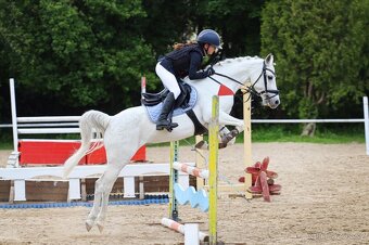 DETSKE SKOKOVE SEDLO PRESTIGE HAPPY PONY POSEDLI 15/2-3 - 5