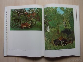 G. ARTIERI, D. VALLIEROVÁ - HENRI ROUSSEAU - 5