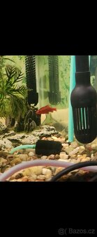 Prodám akvárium - 5