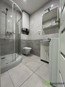 Pronájem bytu 1+1, 35 m2 - Ostrava - Vítkovice, ev.č. 00795 - 5