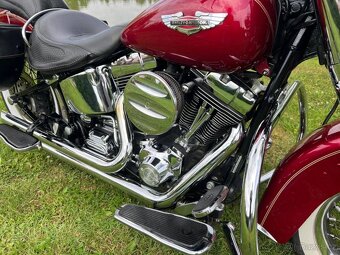 Harley-Davidson FLSTNI Softail Deluxe - 5