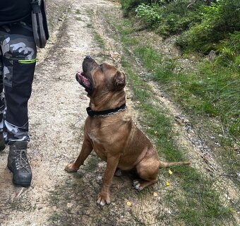 schanim fenu ke kryti - 5