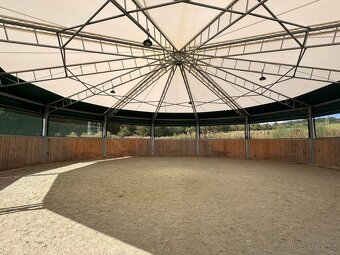 Nabízíme pastevní a boxové ustájení - 5