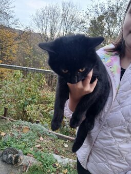 Daruji 3 "mušketýry" - 5