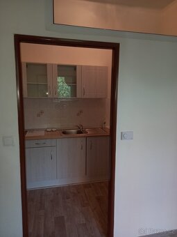 Pronajmu byt 2+kk v Pardubicích - 5