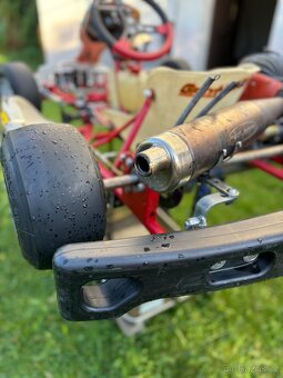 Kart Birel Easykart 60cc - 5