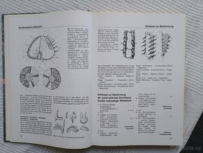 Fossilien, atlas fosílií v němčině, Turek, Beneš, Mareš - 5