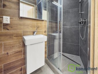 Pronájem bytu 1+1, 35 m2 - Brno - Staré Brno, ev.č. 00797 - 5