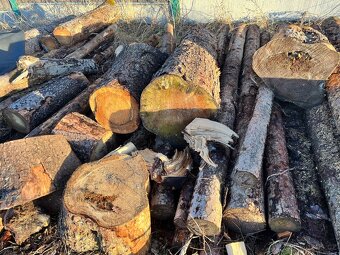 Palivové dřevo - 5