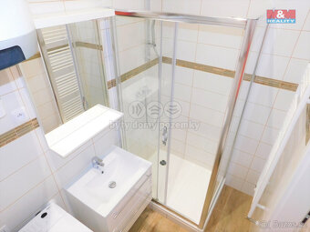 Pronájem bytu 1+1, 48 m², Františkovy Lázně, ul. Kollárova - 5