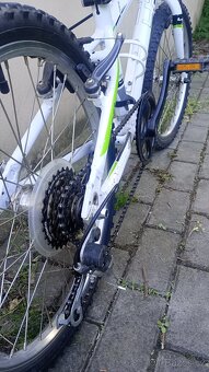 Dětské kolo 4Ever 20" - 5
