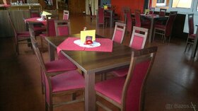 Nové židle  ADAM  +  Stůl - 5