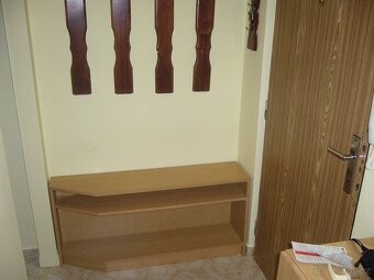 Pronájem bytu 1+kk - Močidla 2160 - 5