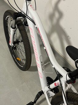 Jízdní kola - 5