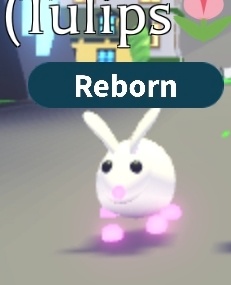 Adopt me peti - 5