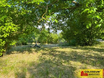 Moravský Krumlov, zahrada 1.800 m2, studna, elektřina - poz - 5