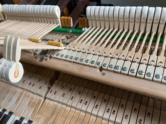 Křídlo Bösendorfer - 5