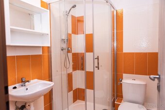 Pronájem bytu 1+1 - 5