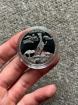 12x Stříbrné investiční mince AFRICAN WILDLIFE 1 oz - 5