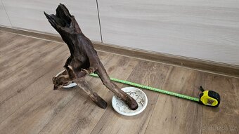 Kořen pro akvárium - 5