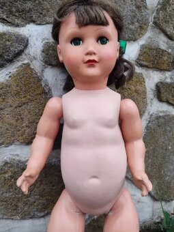 Panenka želva velká - 5