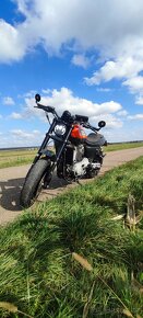 Harley Davidson XR 1200 - 5