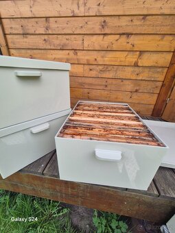 Včelařství - plastové přepravní bedny na rámky - 5