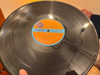 MUDDY WATERS - Fathers And Sons. LP - 5