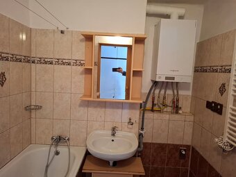 Pronájem bytu 2+1  Vítkov - 5